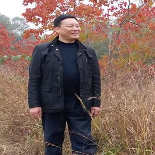 北极狐